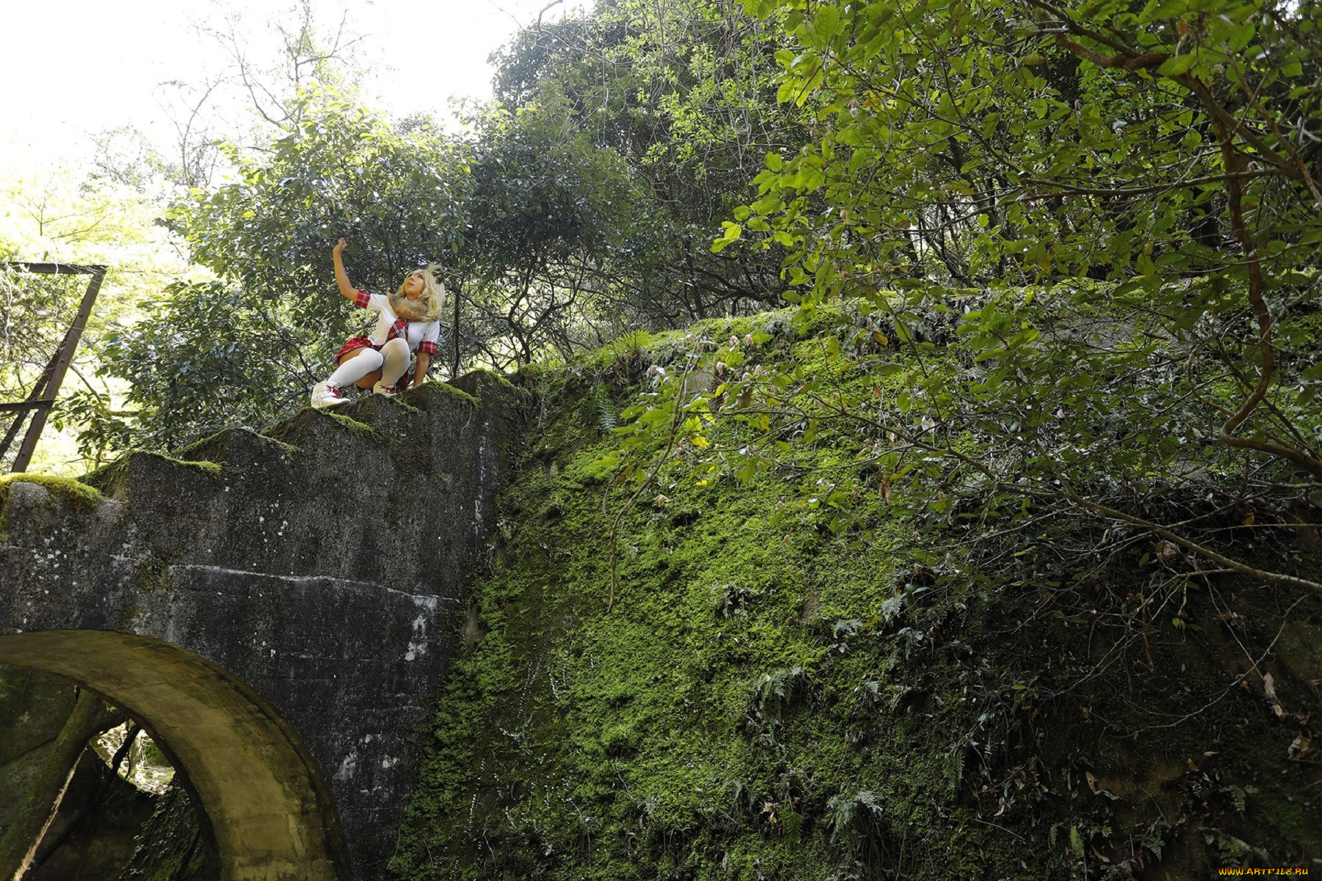 , nonsummerjack, , , , , , , , , , 